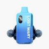 LOST MARY BM6000 | Blueberry | Vape Kit up to 6000 puffs