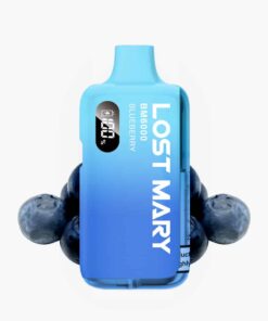 LOST MARY BM6000 | Blueberry | Vape Kit up to 6000 puffs