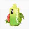 LOST MARY BM6000 | Double Apple | Vape Kit up to 6000 puffs