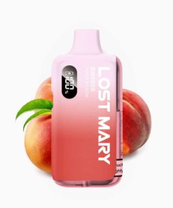 LOST MARY BM6000 | Juicy Peach | Vape Kit up to 6000 puffs